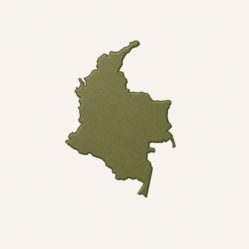 Colombian green coffee — Claro Coffee's first lot, arriving 2026